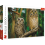 Puzzle Trefl 1000el Sowy - 2